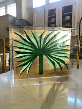 Load image into Gallery viewer, “Petty Palm”